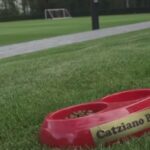 Southampton launch new kit with excellent parody video featuring a ‘color psychologist’