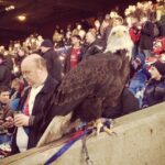 Crystal Palace mascot absent from matches due to bird flu fears
