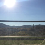 A Note About the Future.